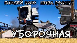 Уборочная. Нива Эффект. Енисей 1200.