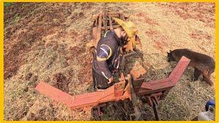 preparando a terra pra capim e milho