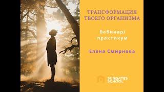 Что ты видишь при закытых глазах. Елена Смирнова