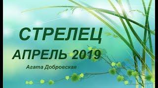 СТРЕЛЕЦ АПРЕЛЬ 2019 / Агата Добровская