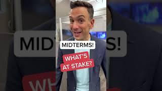What's at Stake in the Midterms? | LX News