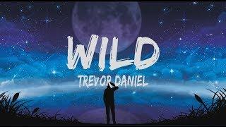 Trevor Daniel - Wild (Lyrics)