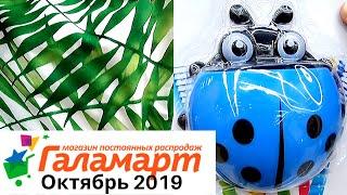 ГАЛАМАРТКУХНЯ, ДОМ. Октябрь 2019