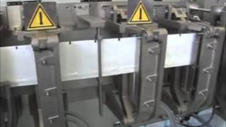 Form Fill Seal Machine - ENFLEX F 14