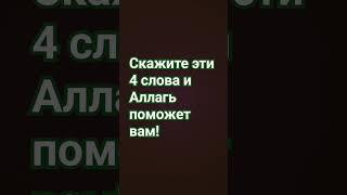 Гьасбун Аллагьу ваним*аль вакиль! лайк и подпишись! поддержи!  #религия#ислам#зикр#напоминание