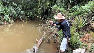 Era beliscar e a rolhinha já afundava, pescaria raiz muito peixe!!!