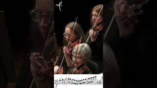 Glinka: Ruslan and Ludmilla Overture #classicalmusic (BSO) #orchestra #music #concert  #livemusic