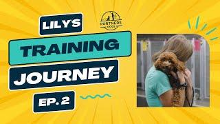 Partners Dog Training Journey | Lily | Ep. 2