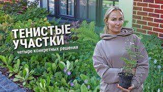 Тенистые участки. Четыре конкретных примера.