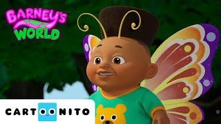 Barney is a butterfly? | Barney's World | @Cartoonito | Cartoons for Kids