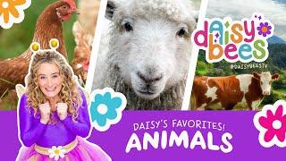 Learn About Farm Animals with Daisy Bees! Preschool Learning - Kids Science Songs and Videos