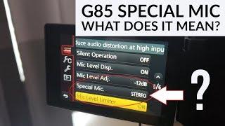 Panasonic G85 Special Mic Setting - Does it affect audio? Sound samples