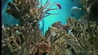 Aquavision