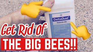 Get Rid Of Carpenter Bees with Delta Dust and a Bulb Duster