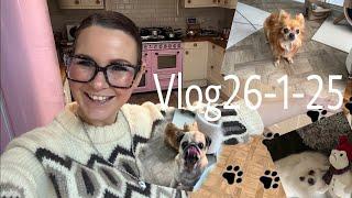 New year vlogs Sunday at home with my 3 dogs  26-1-25 #vlog #reallifevlogs