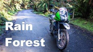 Tarra Valley Rain Forest & Ninety Mile Beach | Season 9 | Episode 17