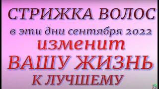 Лунный календарь стрижки волос на сентябрь 2022. Самые благоприятные дни для стрижки...