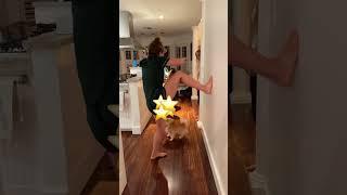 FAIL WITH THE NIP SLIP               handstandchallenge challenge handstand  dead notagymn  shorts72