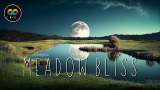 Meadow Bliss  Beautiful & Calming Delta Dream Music • Moonlit Meadow Sleepscape