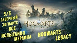 Все испытания Мерлина в регионе северный Хогвартс в Hogwarts Legacy