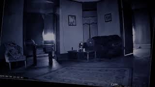 CREEPY SECURITY FOOTAGE - Light Orbs and Spirits Move through the Willows Weep House