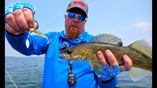 Summer Walleye Crushing Plastics & Underspins