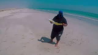 Queenfish Hunting Oman