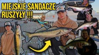 SANDACZE ZE SZCZECIŃSKICH BULWARÓW | PRAWDZIWE ELDORADO! | #vlog 54