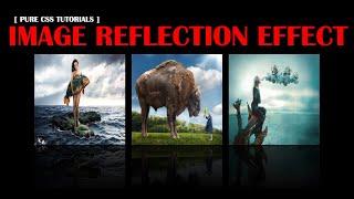 Pure CSS Reflection Property | CSS3 Image Reflection Effect #css3effects