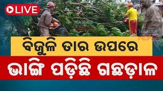   LIVE | ବଢିଲାଣି ପବନର ବେଗ, ଭାଙ୍ଗିଲାଣି ଗଛ | Cyclone Dana Updates | Kanak News