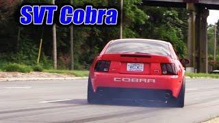 Mustangs leaving SVT Cobra Club  Parkway Ford Show 2015 (1 of 3)