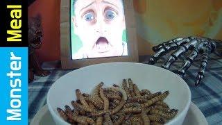 Larva & mealworms [Fictional Video] | Monster Meal ASMR Sounds | Kluna Tik