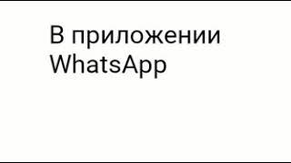 Функции WhatsApp (для новичков)