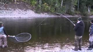 A great lesson in how to land a big salmon