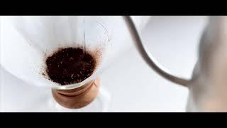 Peter Mckinnon Coffee B-roll | Dave's Coffee