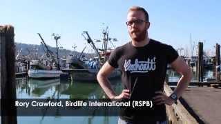 Understanding Seabird Bycatch in Gillnet Fisheries