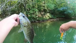 My FAVORITE way to catch LATE summer bass!! Awesome TOPWATER strikes!