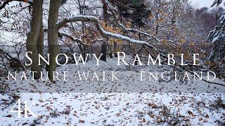 Relaxing winter walk in the English countryside - no talking, no music - Lincolnshire - 4K