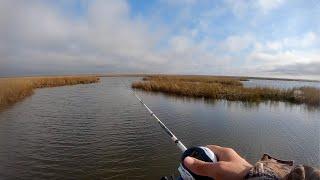 These 3 lures all you need to WHACK the fish right now!