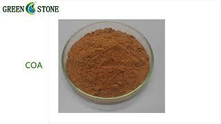 goji wolfberry extract powder supplier