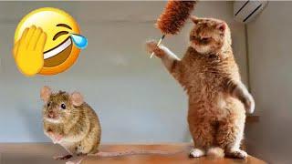  So Funny! Funniest Cats and Dogs 2024  Best Funniest Catss Video 2024 