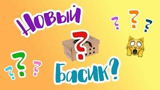 ГДЕ КУПИТЬ ОРИГИНАЛЬНОГО БАСИКА? |  Распаковка нового Басика | basyanogram