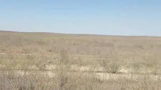 Мкр Жайык, Карасайский район,  участки по 50 соток