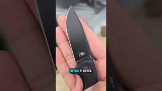 INEXPENSIVE BUDGET BEATER (Under $50!)