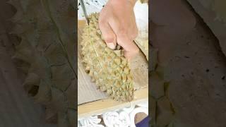 Durian Fruit Cutting #durian #ทุเรียน #fruitcutting #shorts