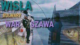 Bulwary Wiślane - Wagary z WND FISHING.