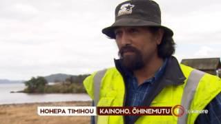 Another geyser eruption at Lake Rotorua