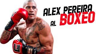 ALEX PEREIRA al BOXEO