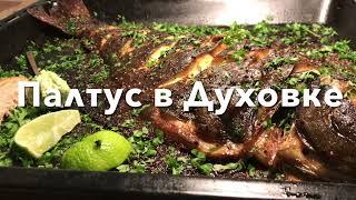 Палтус  | Как вкусно и красиво запечь палтус