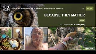 DITL: Super Heros!!! Hope for Wildlife to the RESCUE!!!